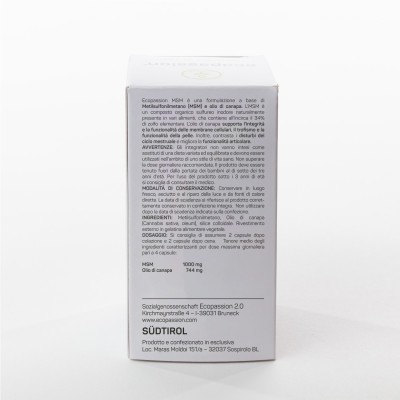 ecopassion® MSM (90 capsule)