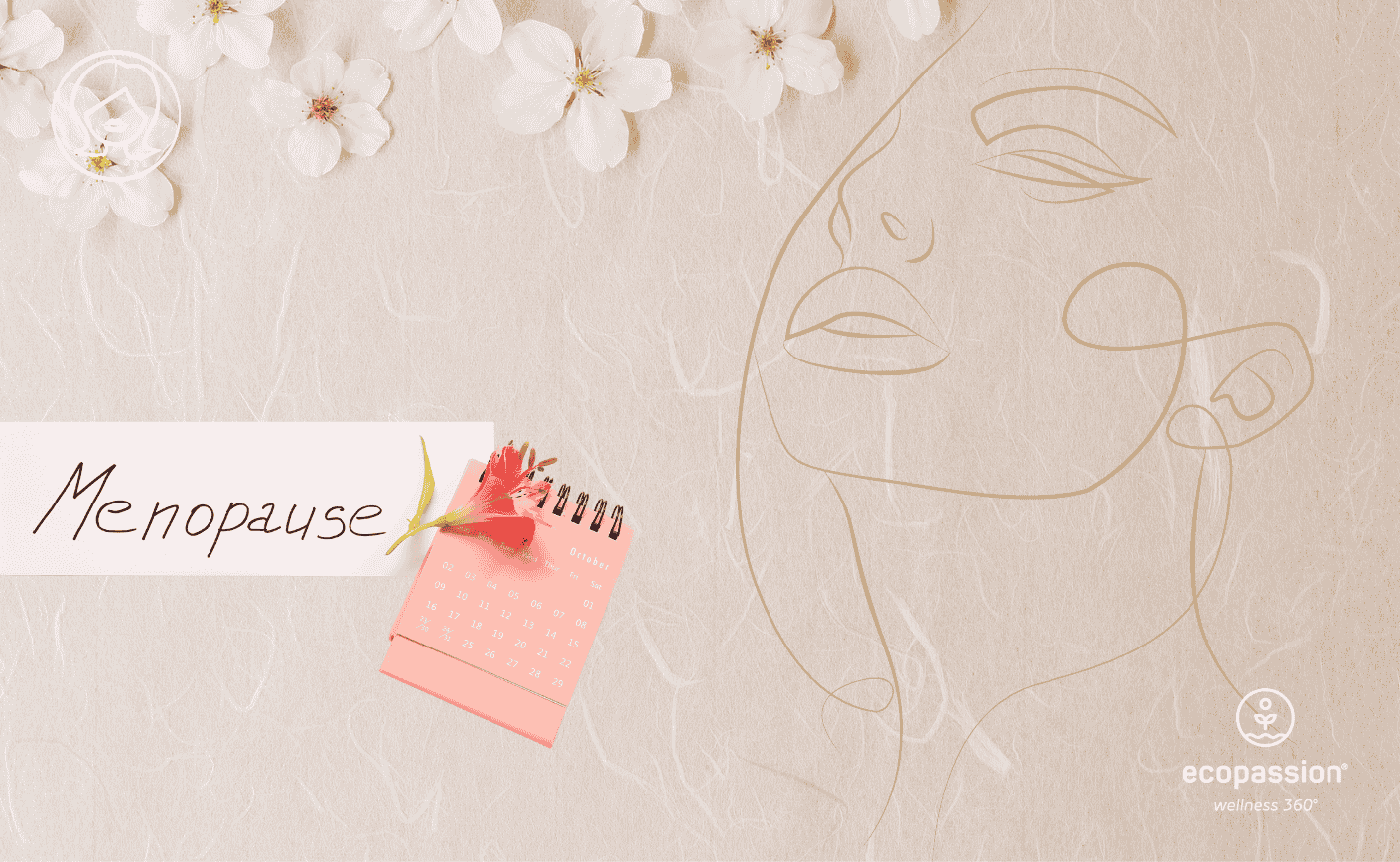Le quattro fasi della menopausa – ciò che ogni donna dovrebbe sapere