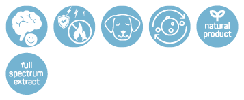 Simboli azzurro chiaro ispirati al supporto olistico per cani attivi – con estratto a spettro pieno CBD/CBDA bilanciato