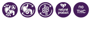 Simboli viola per sensazione viscerale, supporto al microbioma ed equilibrio vegetale – formula CBG/CBD naturale senza THC